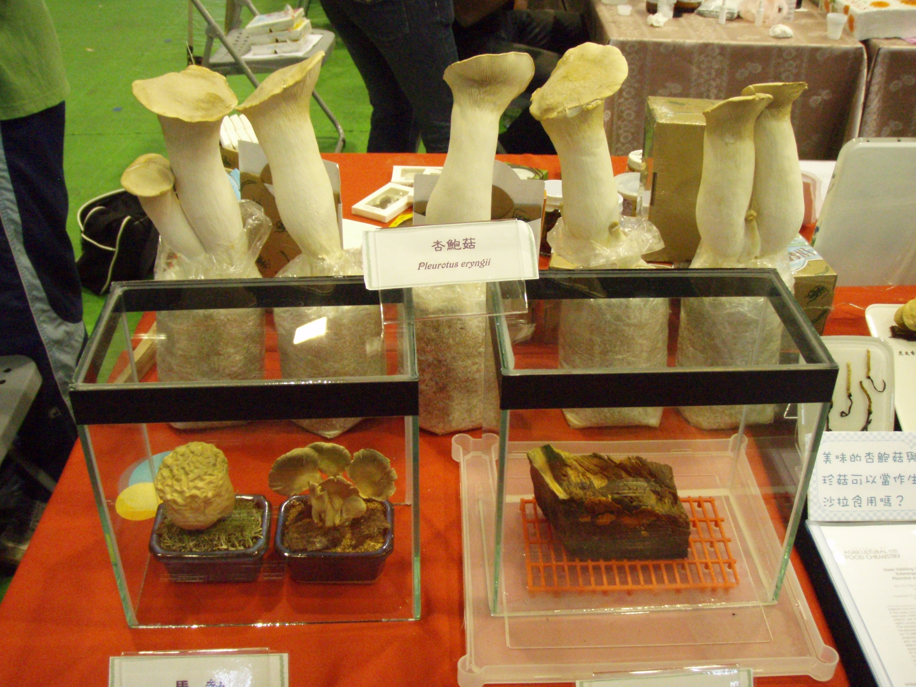 校慶展覽27