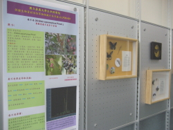 萃取物展示01