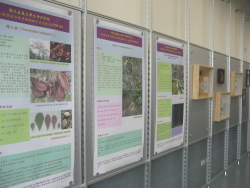 萃取物展示02