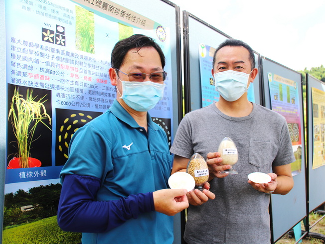 Prof. Wen-Lii Huang (left) of the NCYU Department of Agronomy introduced NCYU Tainan No. 1 with jasmine fragrance to MUJI Taiwan General Manager Akihiro Yoshida. 