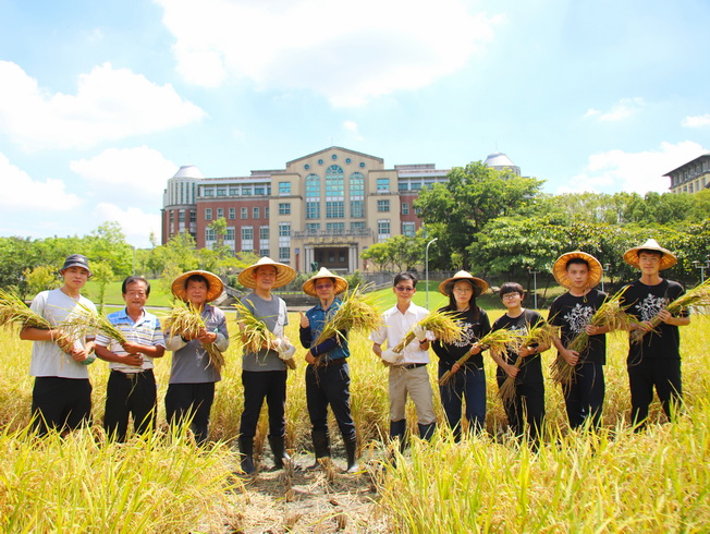 MUJI Taiwan will use NCYU Tainan No. 1 to develop new products, slated to be sold exclusively in designated stores in the second half of the year. 